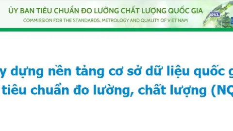 Vietnam Expands NQI Database for Standards Searches and Online Procedures