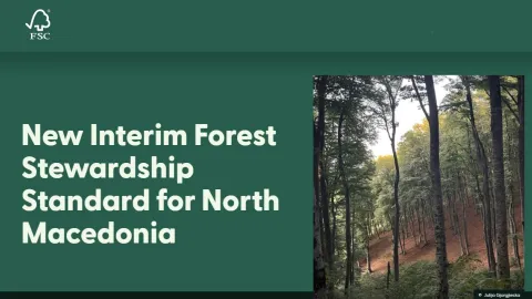 Interim FSC Forest Stewardship Standard Published for North Macedonia