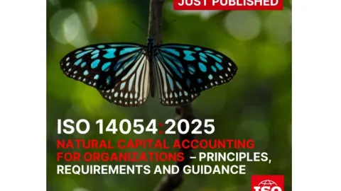 ISO 14054 Introduces First Global Framework for Natural Capital Accounting