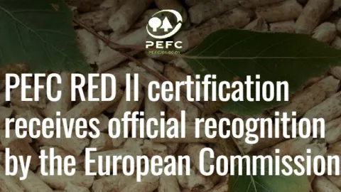 European Commission Officially Recognizes PEFC RED II Certification