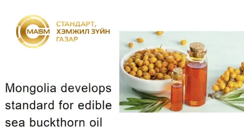 Mongolia Seeks Public Comments on Draft Sea Buckthorn Oil Standard