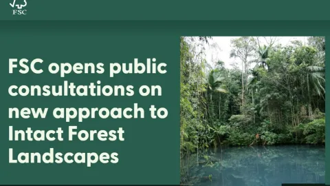 FSC Proposes New Approach To Intact Forest Landscapes Protection