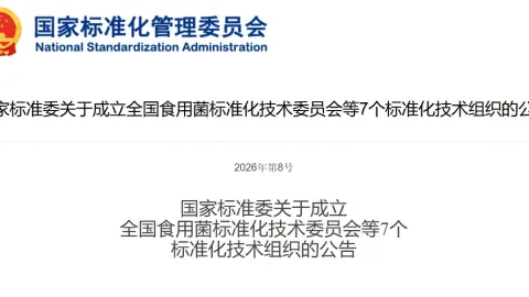 China Sets Up Seven Standardization Bodies Including Humanoid Robots Group