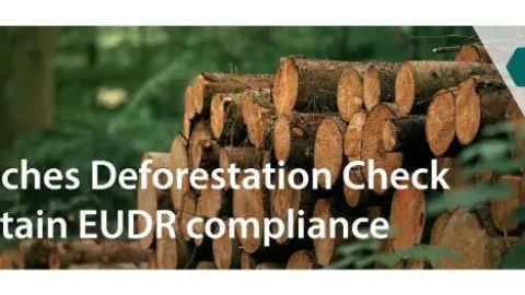 IFS Introduces Deforestation Check to Support EUDR Compliance