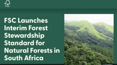 FSC Introduces Interim Forest Stewardship Standard for South Africa’s Natural Forests