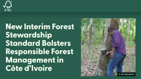 FSC Launches Interim Forest Stewardship Standard For Côte d’Ivoire