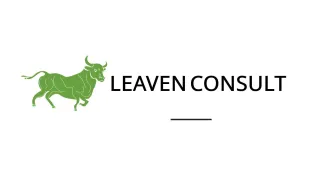 Leaven Consult