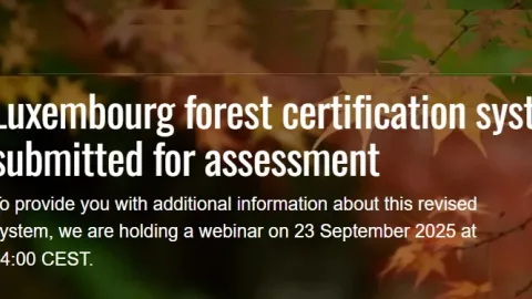 Public Consultation Opens on Luxembourg Forest Certification Scheme