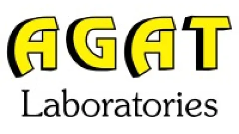 {BLOG_TITLE_ALT}