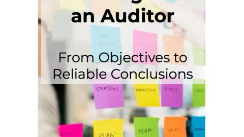 Thinking Like An Auditor Starts With Questions Not Checklists