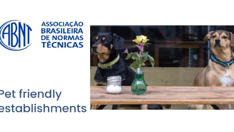 New Brazilian Standard Ensures Pet-Friendly Tourism for Dogs and Cats